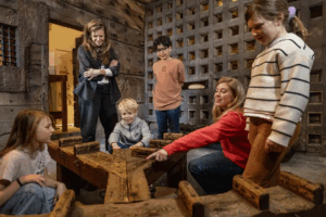 Geen zomerverveling in Delft: van vogelexcursie tot Boogie Night