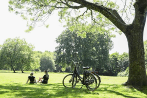 Gratis koffie of een uur kanoën: Delft beloont duurzaam gedrag met nieuwe campagne