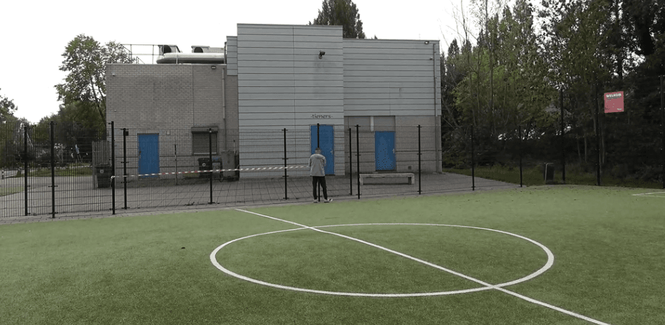 Aziatische hoornaars houden jeugdcentrum nog altijd dicht: ‘Veiligheid kinderen voorop’