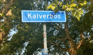 Staalslakken in Delftse Hout en Kalverbos: ‘Kan tot luchtwegproblemen leiden’