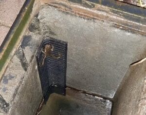 Delft zet trappetjes in tegen verdrinking padden