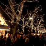 Voorlezende Pechtold en silent disco: Delftse Lichtjesavond 2025