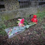 Dit weten we tot nu toe over het geweldsincident in Den Hoorn