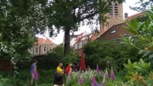 Stadstuinen gezocht voor Open Tuinendag 