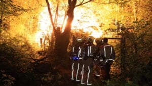 Bouwkeet op terrein van imker volledig verwoest door brand