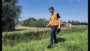 Delfland controleert kwetsbare dijken vanwege risico op droogte
